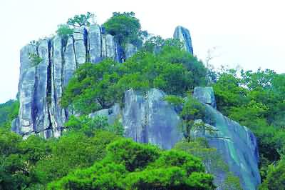 北京西溝原始森林圖片_北京西溝原始森林_原始古老森林風(fēng)格裝修