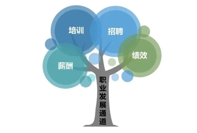 高級人力管理資源師_人力資源管理swto_香洲區(qū)人力資源開發(fā)管理服務(wù)中心