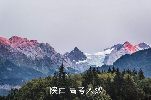  陜西 高考人數(shù)