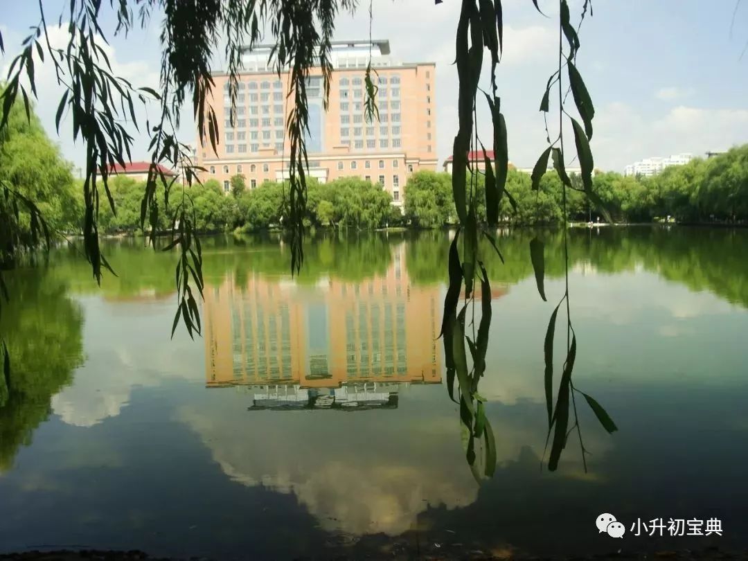 松江公辦小學(xué)梯隊(duì)_松江公辦小學(xué)最新排名_松江公辦小學(xué)排名