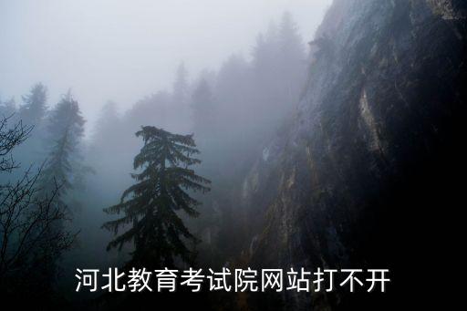 河北教育考試院網站打不開