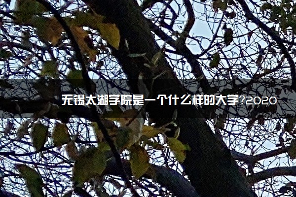 無錫太湖學院官網_無錫太湖學院好不好_無錫太湖學院知乎
