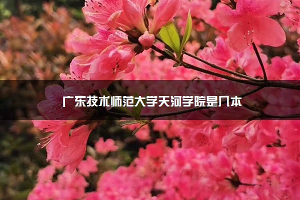 廣東技術(shù)師范大學天河學院是幾本