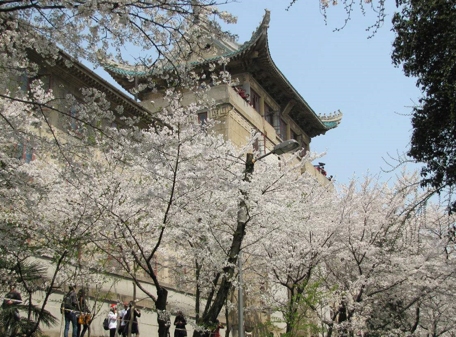 武漢大學(xué)學(xué)費(fèi)_武漢大學(xué)的學(xué)費(fèi)_武漢大學(xué)每學(xué)期學(xué)費(fèi)