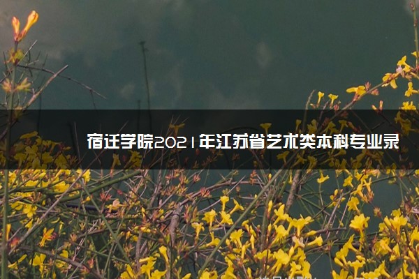 宿遷學院預估分數線2021_宿遷學院分數線_宿遷學院專業錄取分數線位次
