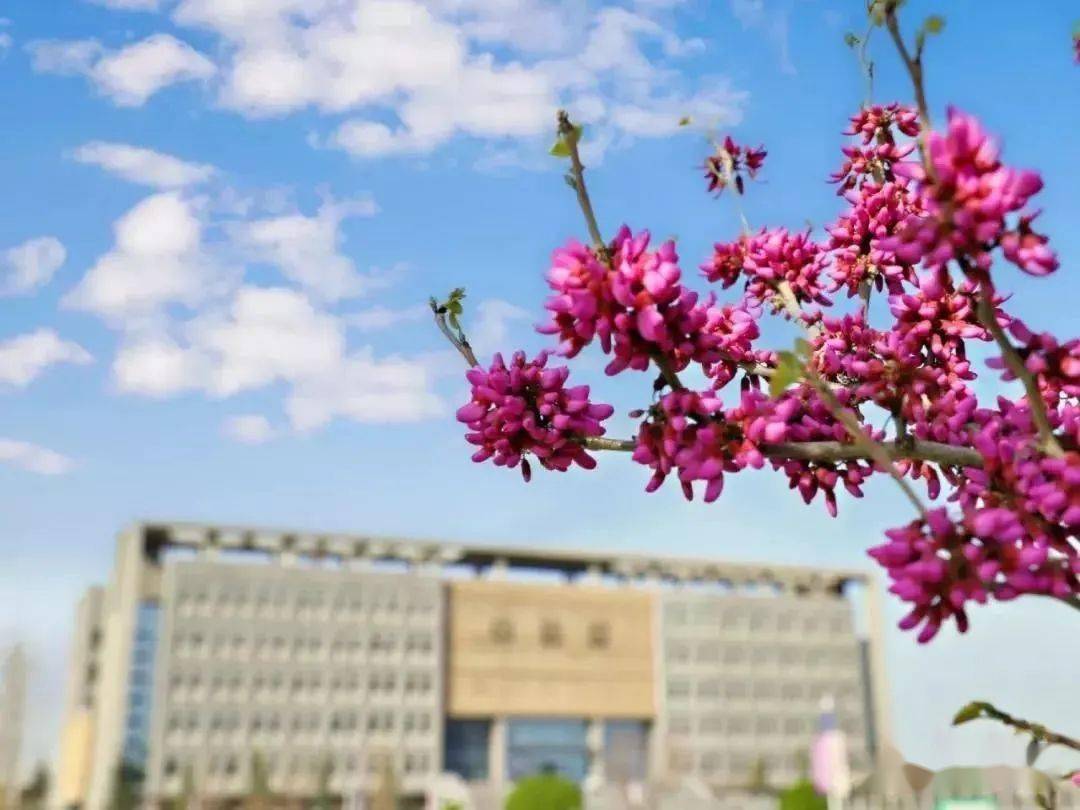 陜西省本科學(xué)校排名_陜西省三本院校_陜西省各大院校