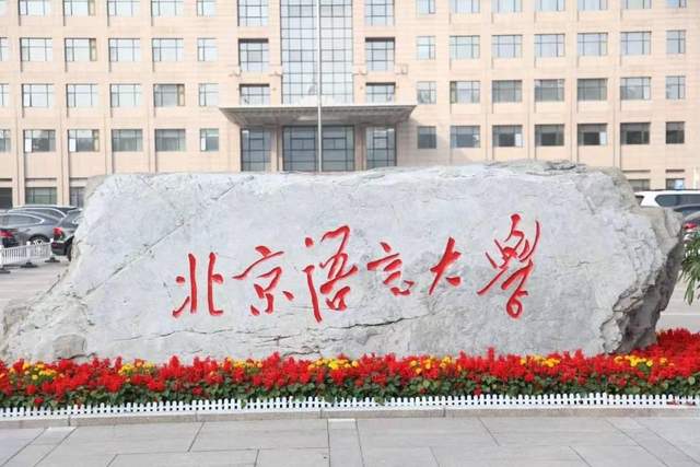 世界語(yǔ)言排行榜2019_世界語(yǔ)言排名_世界排名的語(yǔ)言