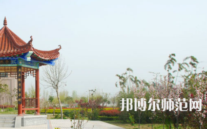 河南科技職業(yè)技術學院代碼_河南科技職業(yè)大學代碼_河南科技代號
